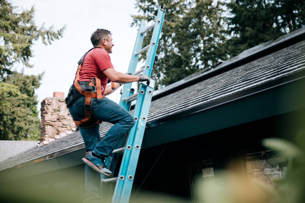 Steel Roofing in Hudson, MI