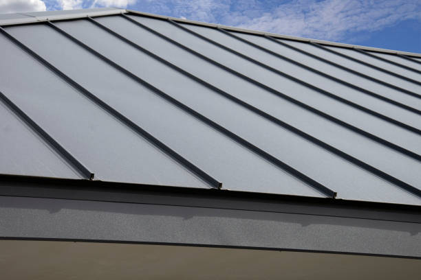 Best Flat Roofing  in Hudson, MI