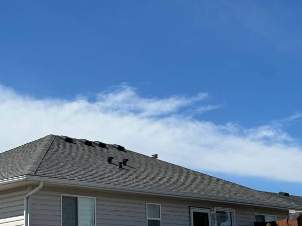 Best Rubber Roofing (EPDM, TPO)  in Hudson, MI