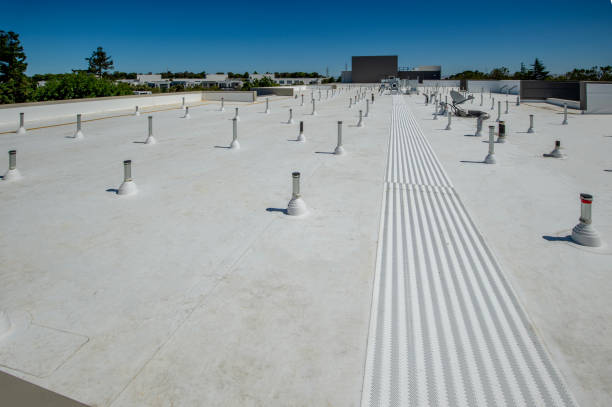 Best Roof Maintenance and Cleaning  in Hudson, MI